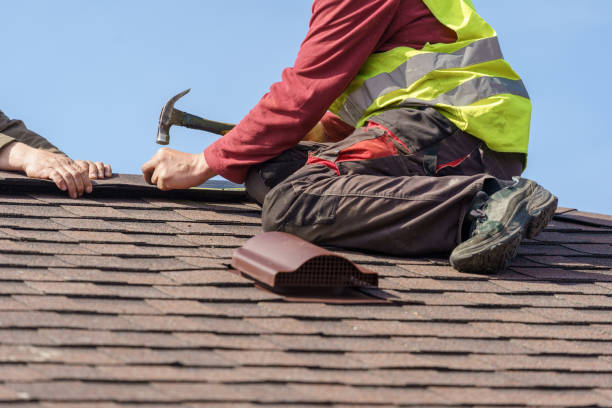 Best Storm Damage Roof Repair  in Pine Bush, NY
